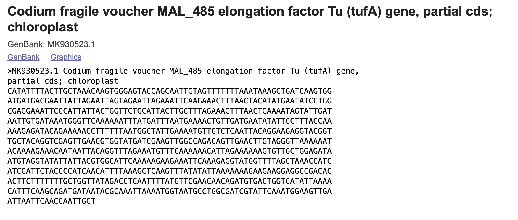 Figure 1: FASTA sequence for the tufA gene of the target species Codium fragile
